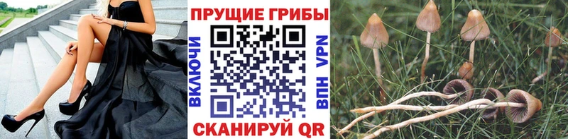 Галлюциногенные грибы мухоморы  Задонск 